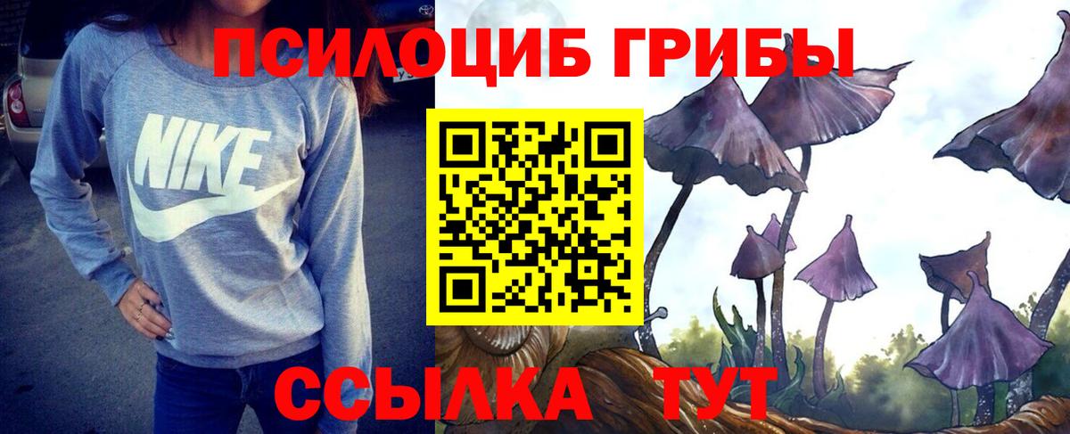 Галлюциногенные грибы Cubensis Карачаевск