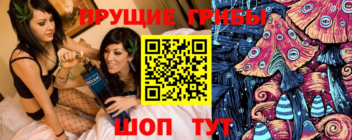 Карачаевск  Галлюциногенные грибы Cubensis  Вход с VPN 